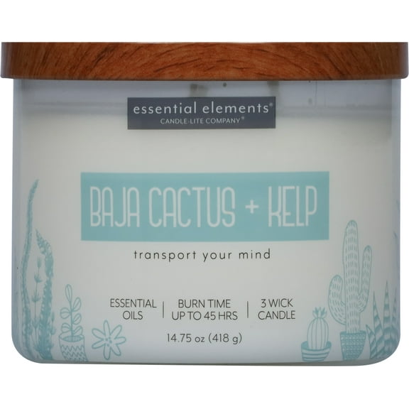 Essential Elements by Candle-lite Scented Candles, Baja Cactus & Kelp Fragrance, One 14.75 oz. Three-Wick Aromatherapy Candle with 45 Hours of Burn Time, Off-White Color Baja Cactus & Kelp 14.75 oz. Jar