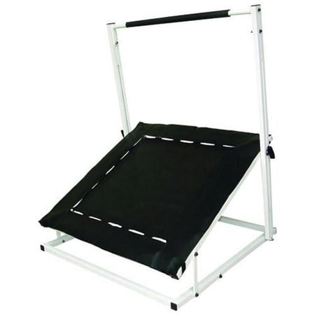 Cando Rectangle Rebounder w/5 PT Balls & Vertical Rack