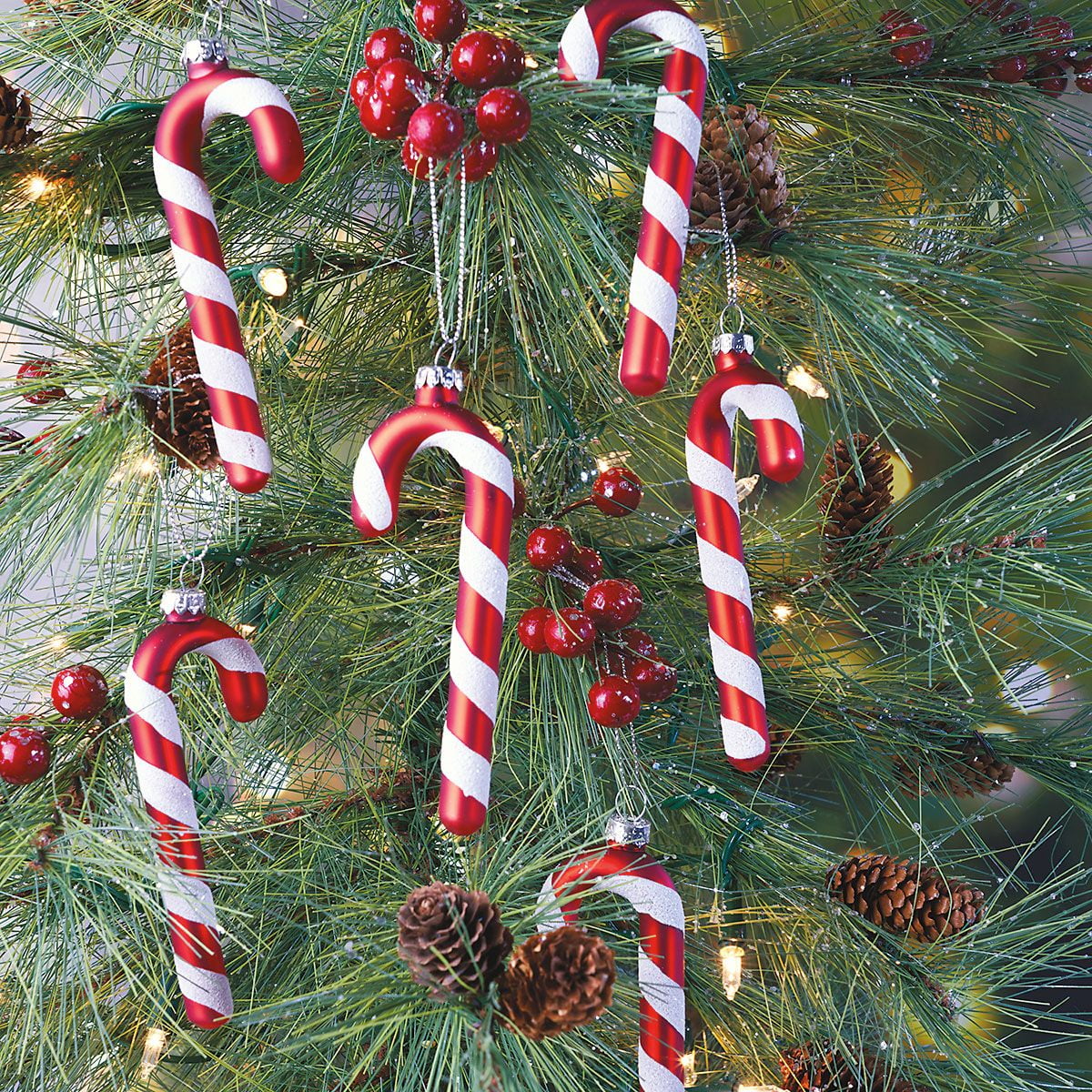 Candy Cane Glass Christmas Ornaments- Set of 6 Holiday Mini Tree  Decorations, by Current