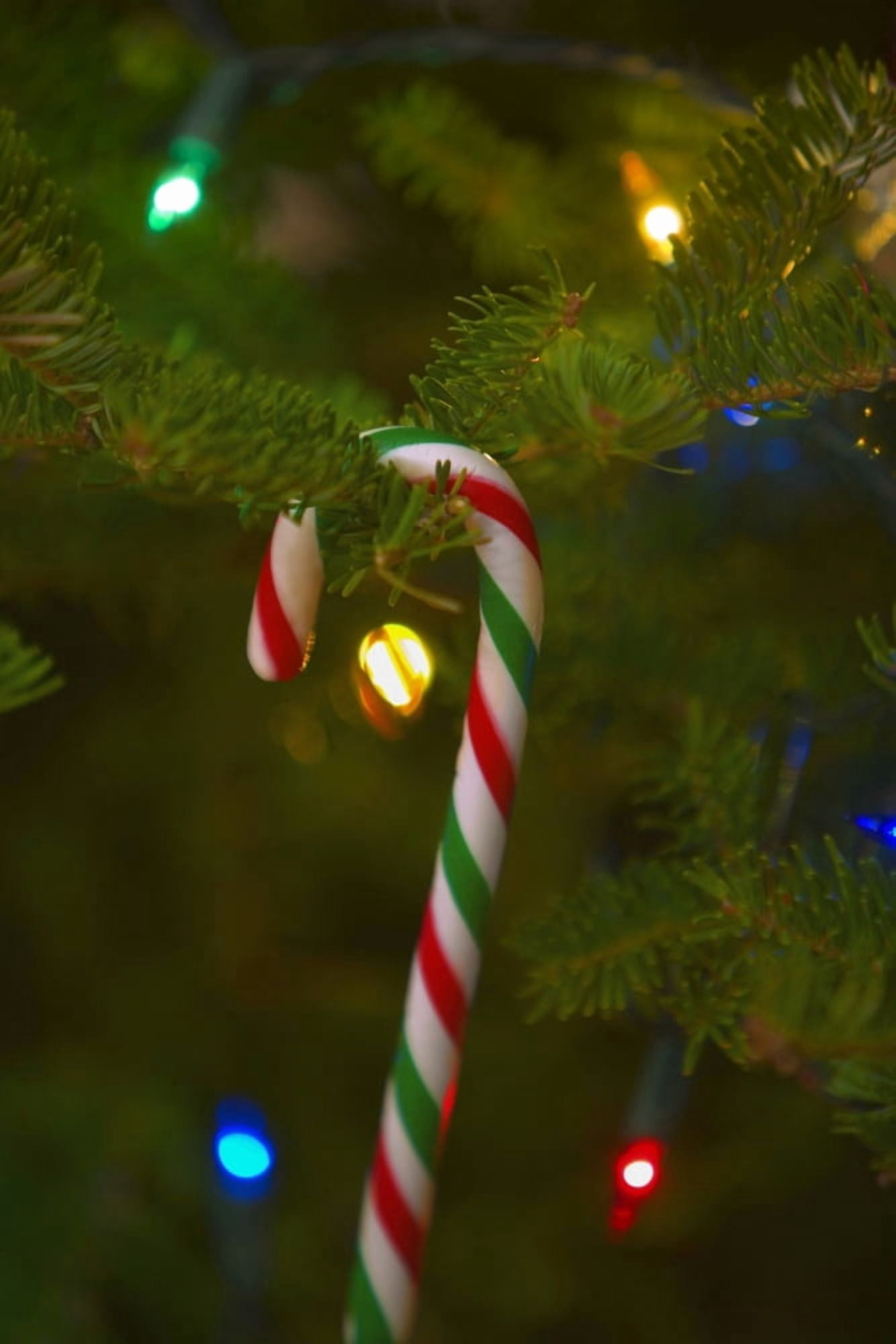 Candy Cane On A Tree Canvas Art - Carson Ganci Design Pics (11 x 17)
