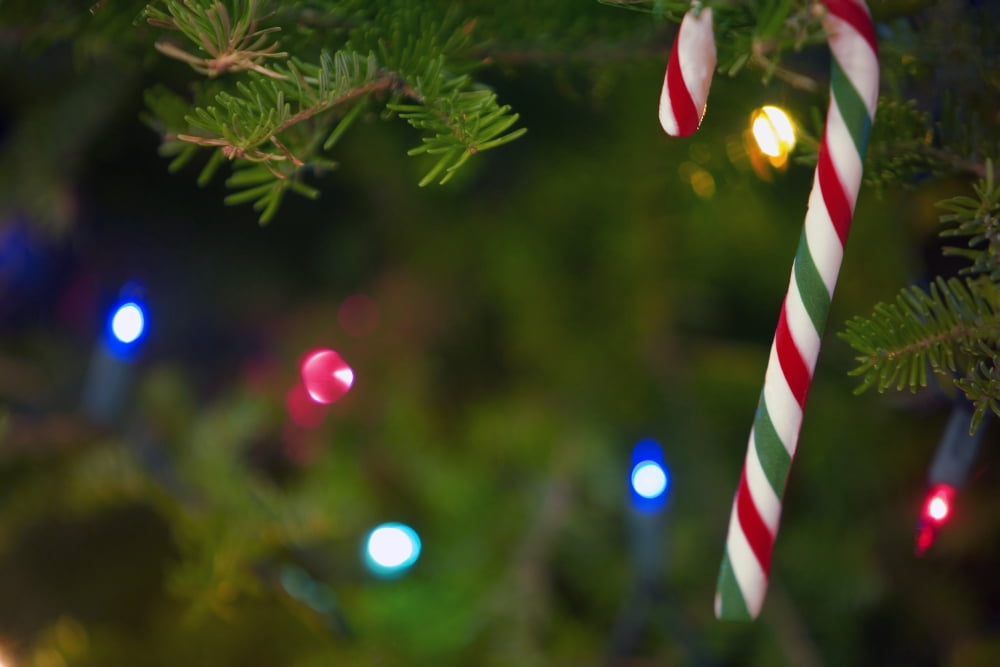 Candy Cane On Tree Canvas Art - Carson Ganci Design Pics (17 x 11)