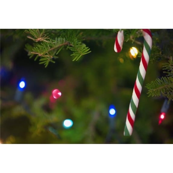Candy Cane On Tree Poster Print by Carson Ganci - 17 x 11