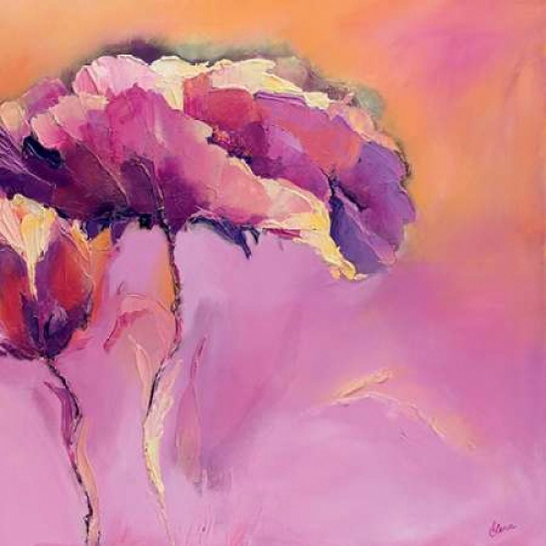 Candy Mohn I Canvas Art - Elena Filatov (24 x 24)