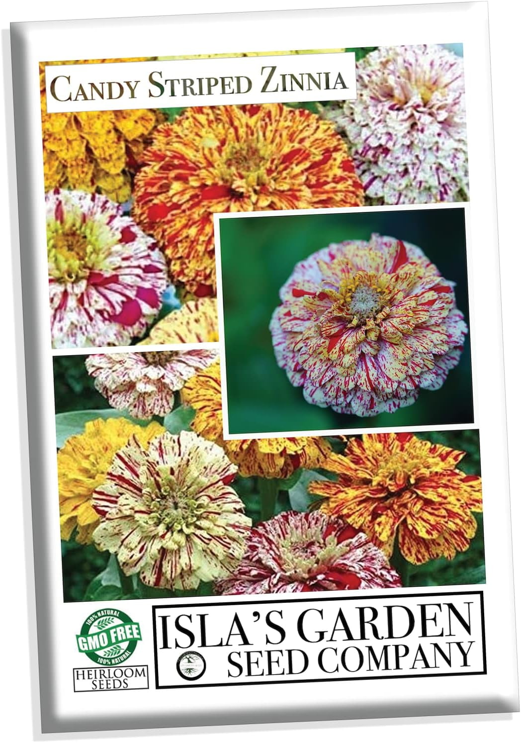 Candy Stripe Mix Zinnia Seeds for Planting, 50+ Flower Seeds Per Packet