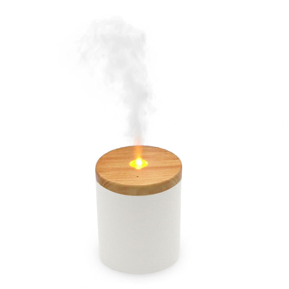 Candyl Classic Diffuser - Frosted White Glass with Light Wood Top ...