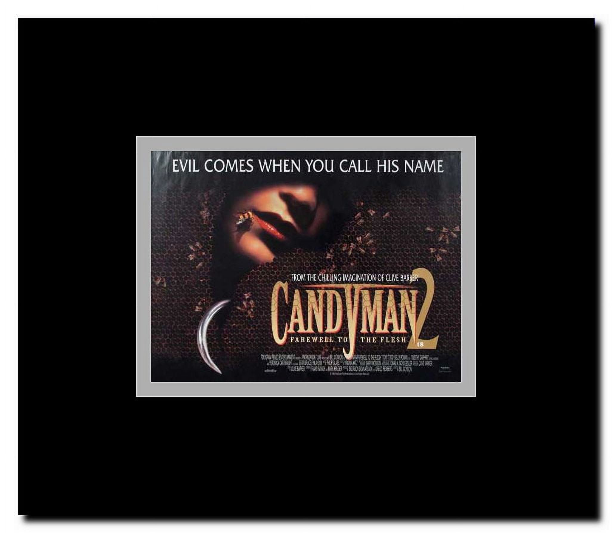 Candyman 2: Farewell to the Flesh Framed Movie Poster