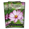 thumbnail image 1 of Candystripe Cosmos Seeds - Non GMO Heirloom Varieties for your Flower Garden - 2 Pack, 1 of 5
