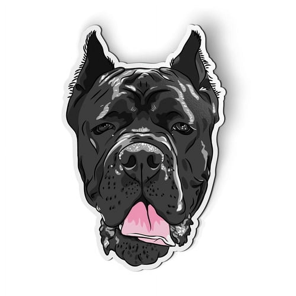 Cane Corso Dog - 5.5
