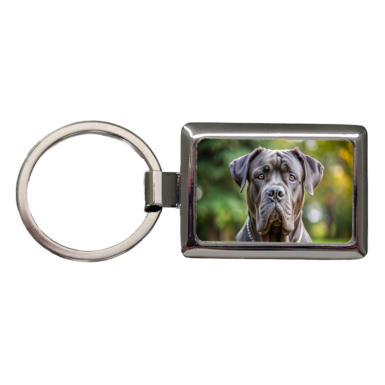 Cane Corso Dog Photo Metal Rectangle Keychain - Walmart.com