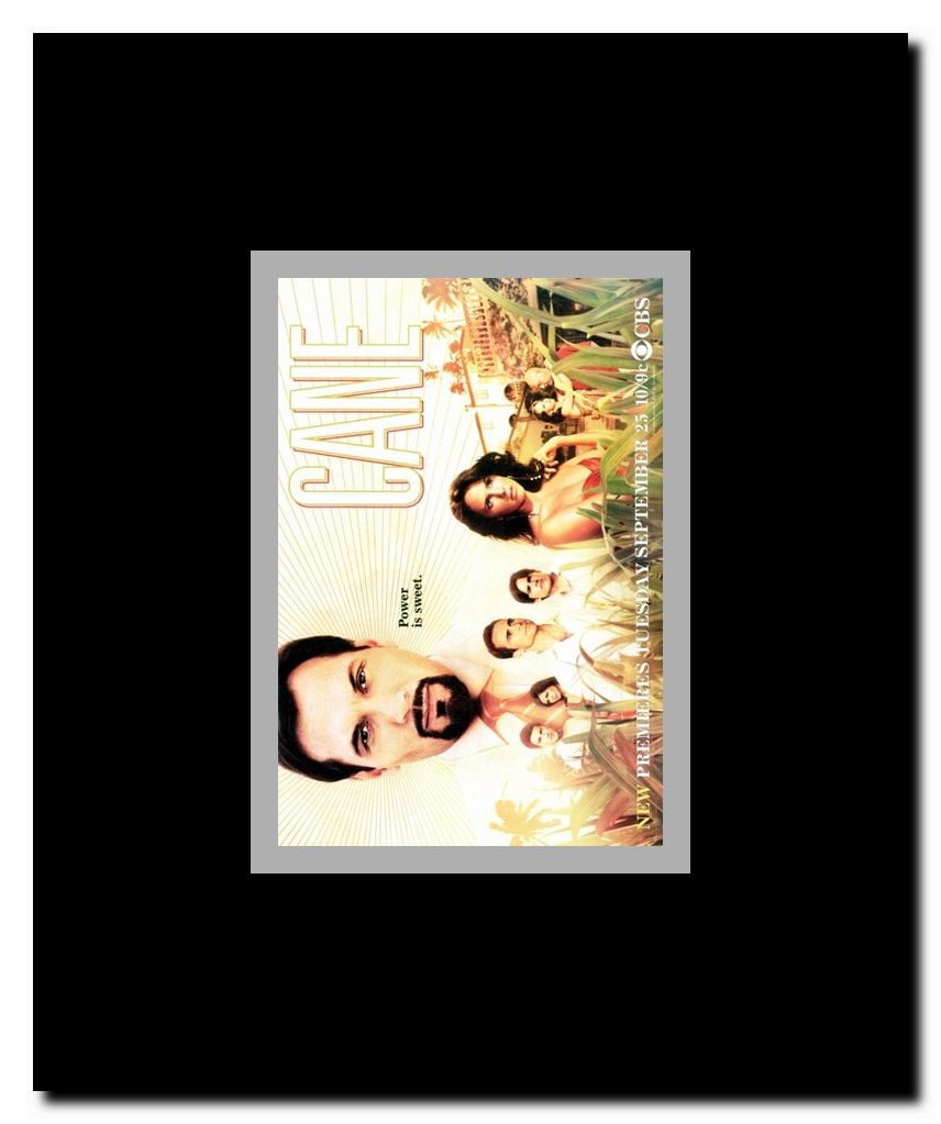 Cane Framed Movie Poster