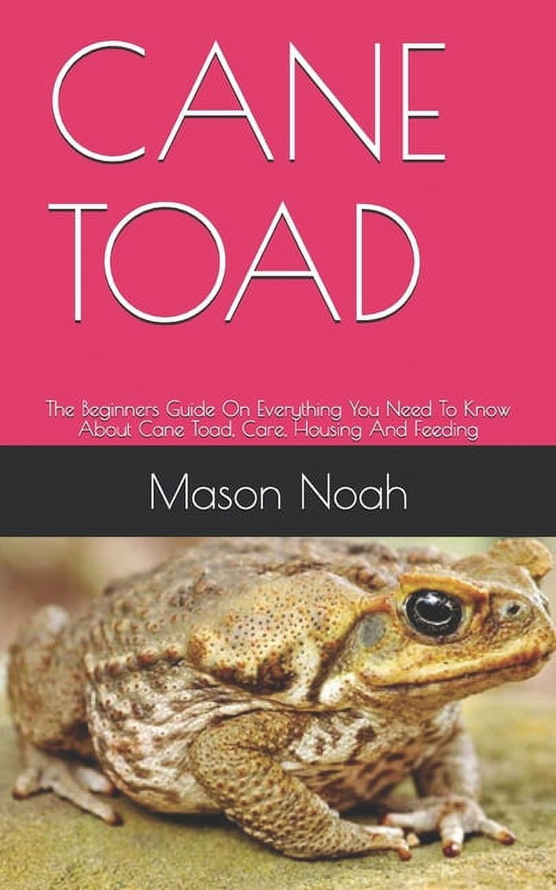 Cane Toad The Beginners Guide On Everything You Need To Know About Cane Toad, Care, Housing And