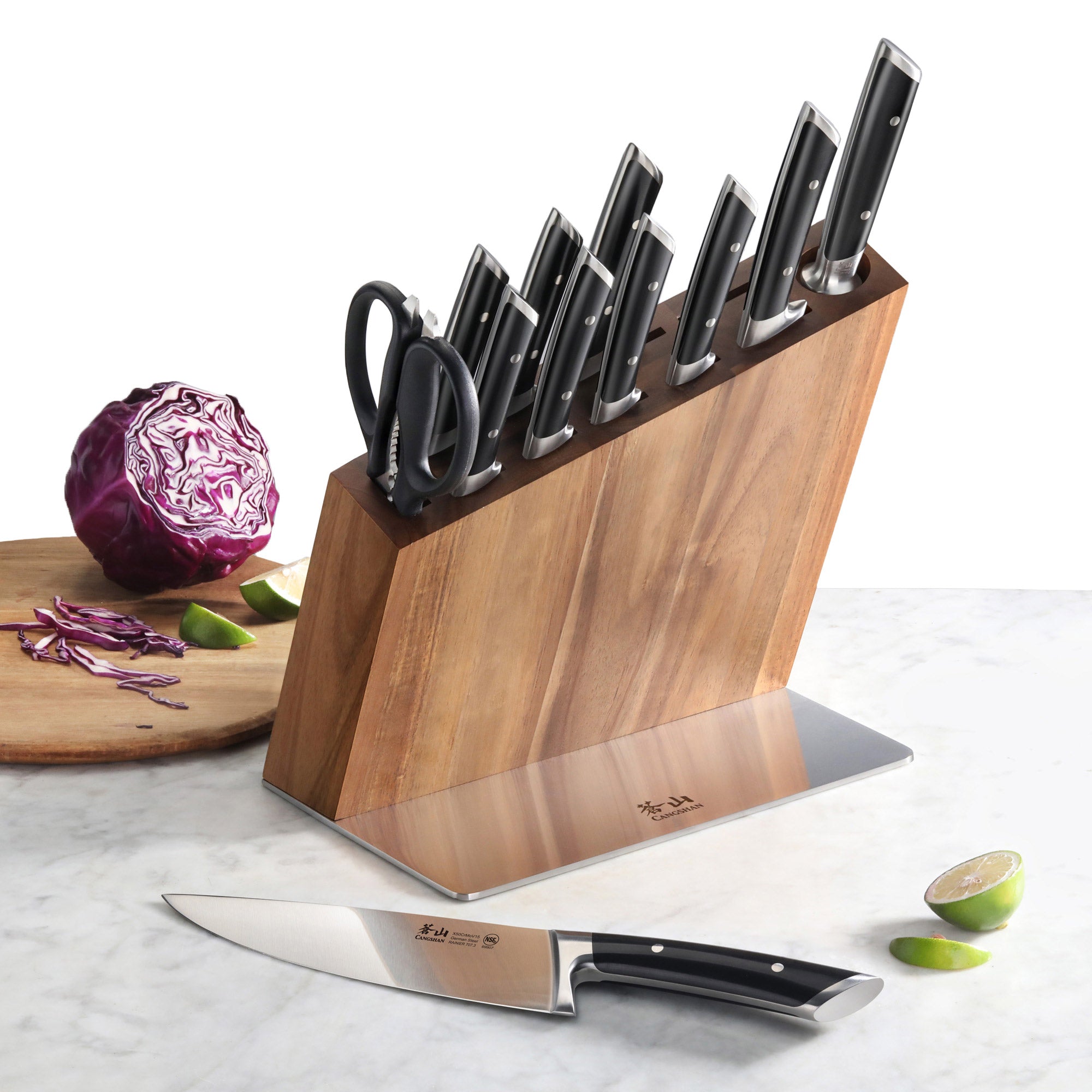 Cangshan Rainier Series 12Piece Knife Block Set, with German