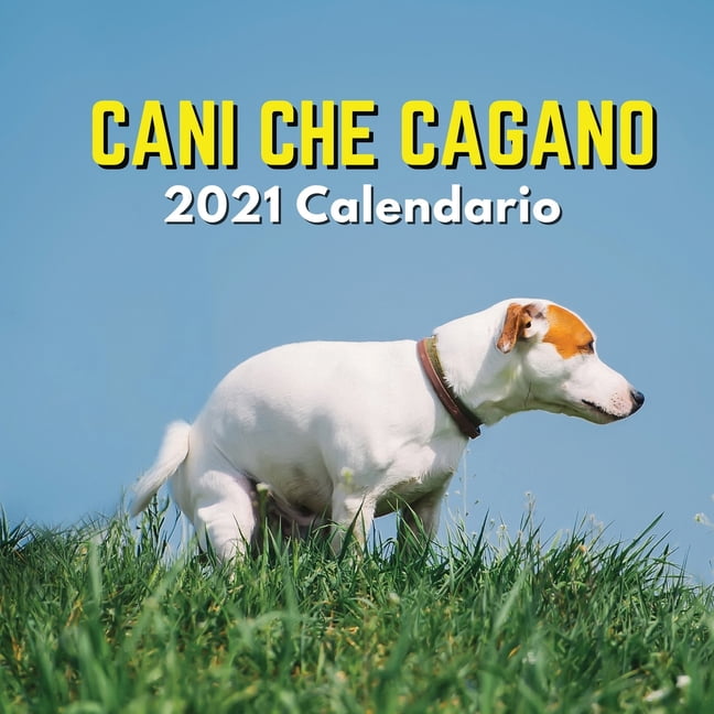 Cani Che Cagano 2021 Calendario : Divertente (Paperback)