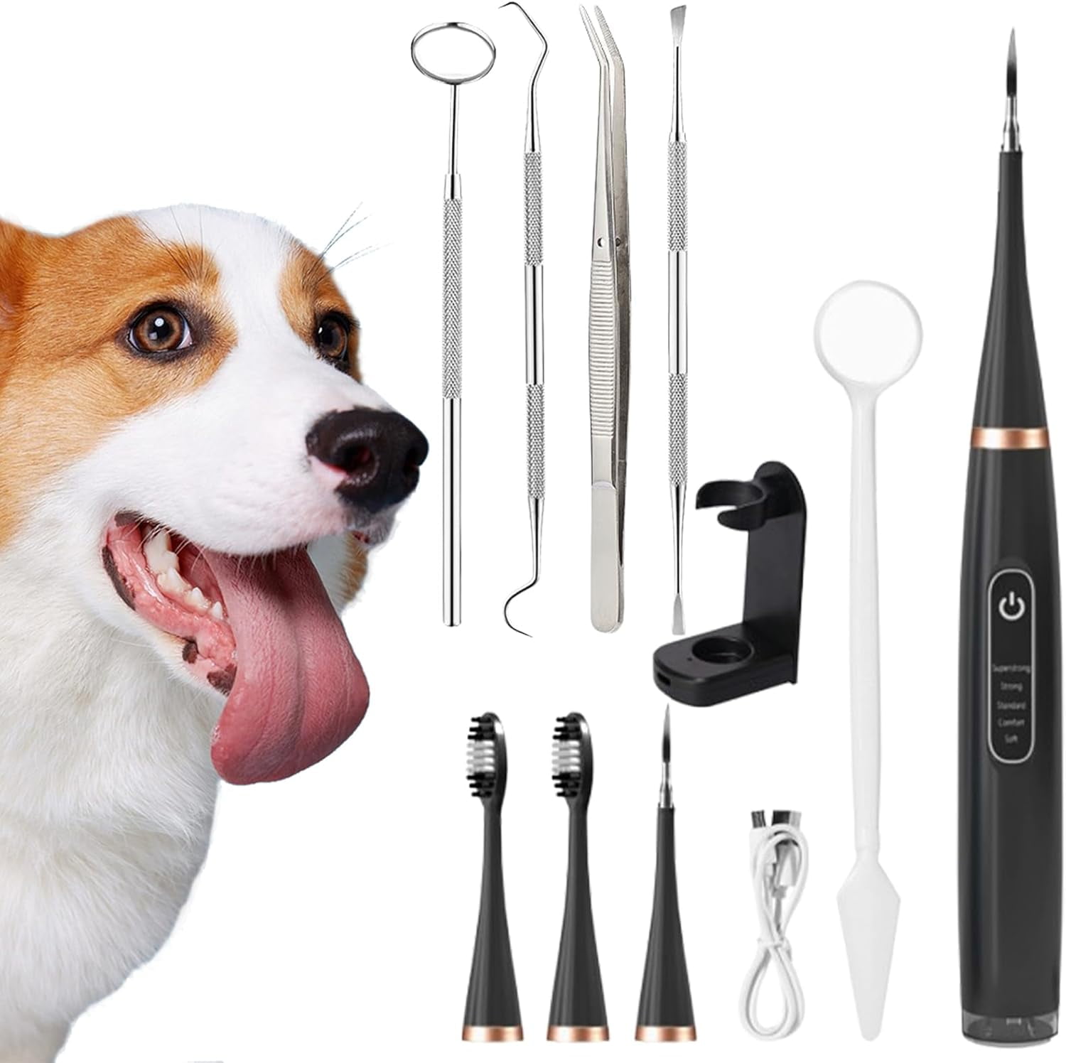 Rare Pet Canident Reviews Ultrasonic Tooth Cleaner For Dogs, Dog