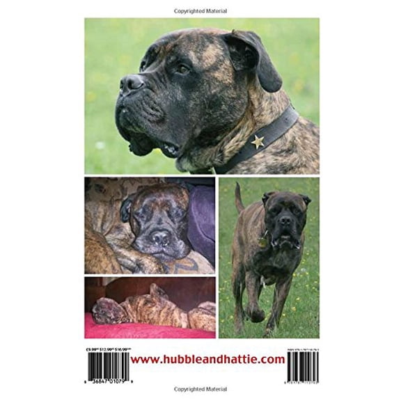 Pre-Owned Canine Aggression: Rehabilitating an Aggressive Dog with Kindness and Compassion [Paperback] McLennan, Tracey