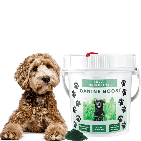 Canine Boost Spirulina Powder – Natural Superfood for Dogs | Immune Support, Healthy Skin & Coat, Energy Boost by SEVA, 34 ounce
