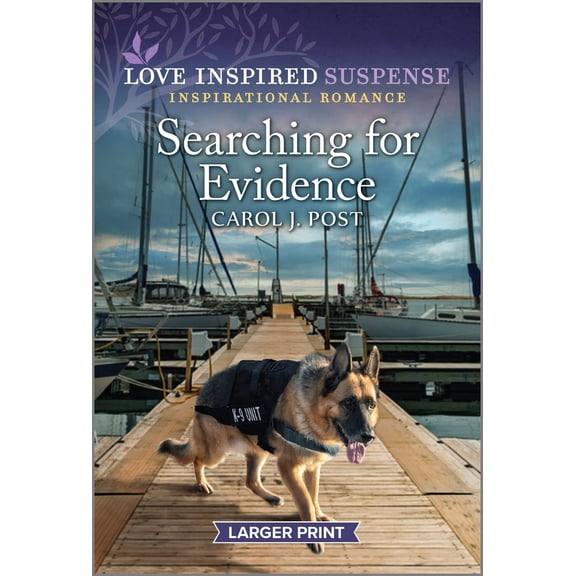 Pre-Owned Searching for Evidence (Mass Market Paperback) 1335599584 9781335599582