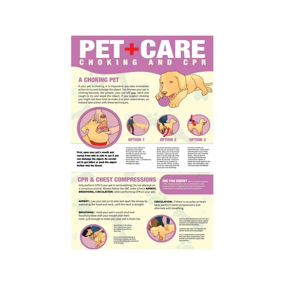 Canine First Aid Poster CPR and Heimlich Maneuver Chart for Dog Emergencies Groomer Boarding Shelter Reference