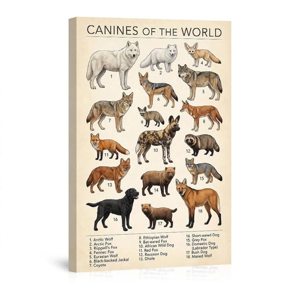 Canines Of The World Wolf Fox Wild Dog Breeds Canvas