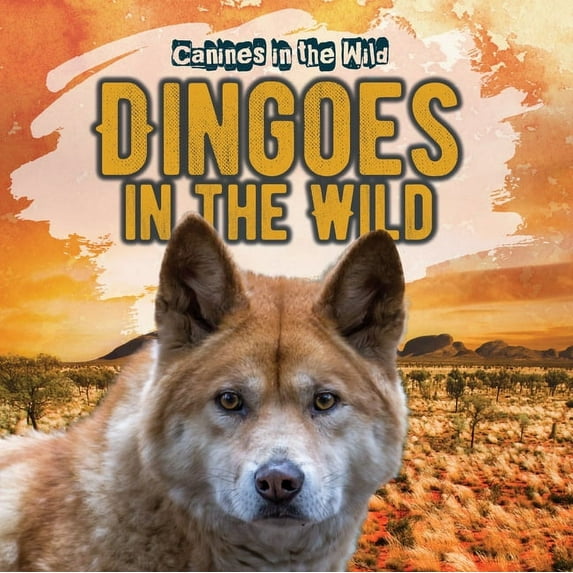 Canines in the Wild Dingoes in the Wild, (Hardcover)