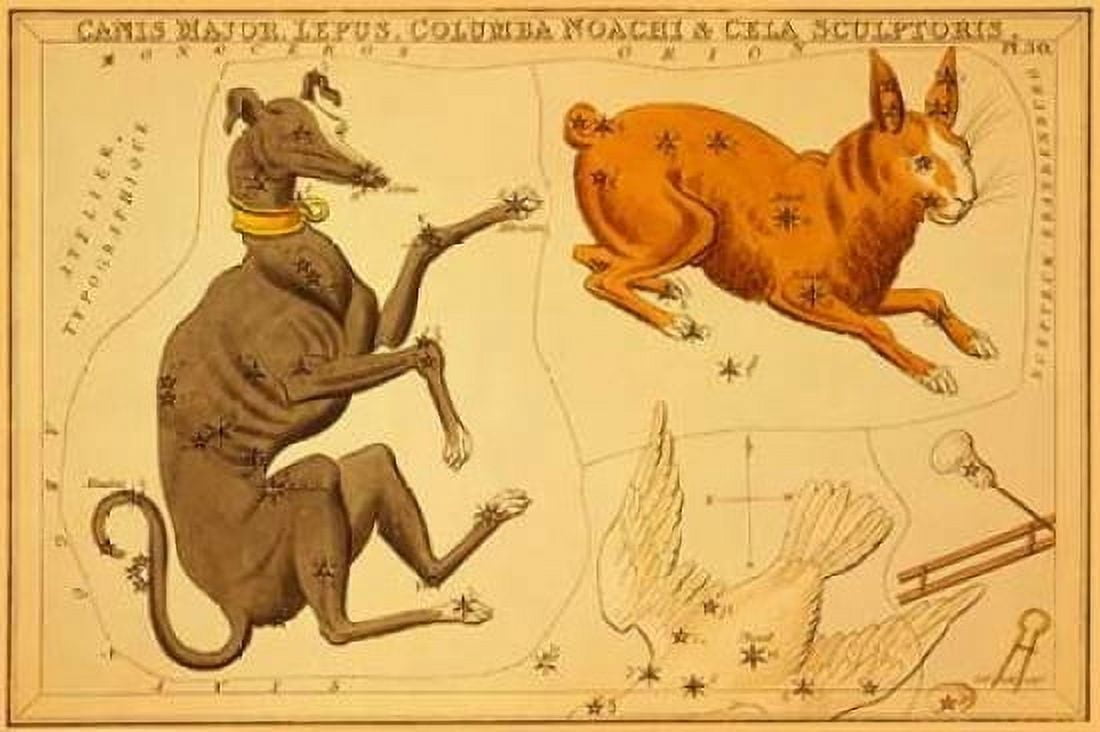 Canis Major Lepus Columba Noachi and Cela Sculptoris 1825 Canvas Art - Jehoshaphat Aspin (24 x 36)
