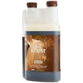 thumbnail image 1 of Canna BioBoost- 1 Liter, 1 of 1