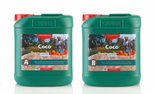 Canna Coco And