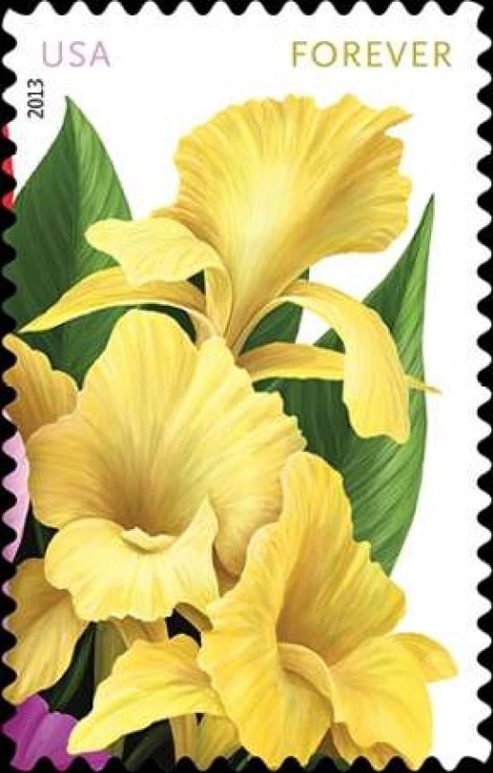 Cannas Canvas Art - US POSTAL SERVICE (12 x 18)