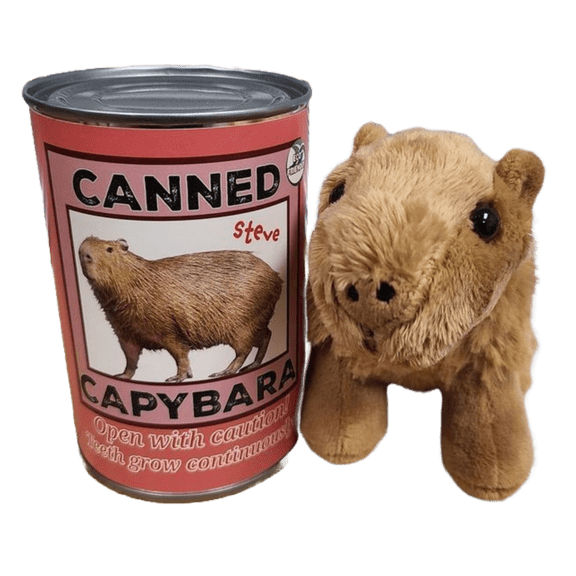 Canned Capybara | Stuffed Plush Toy | Ecofriendly Unique Fun Gift!
