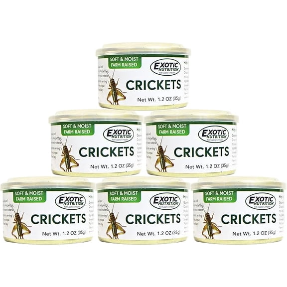 Canned Crickets 35 g. (6 Pack)