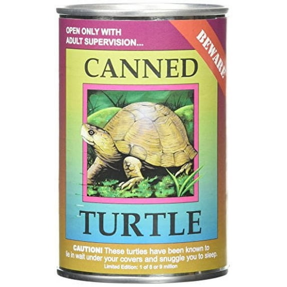 Canned Critters Stuffed Animal: Land Turtle 6"
