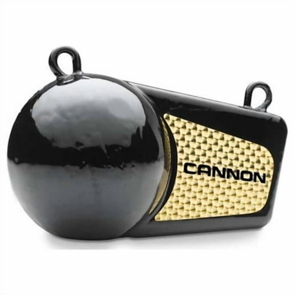 Cannon 1908016 | 16 lbs Flash Weight