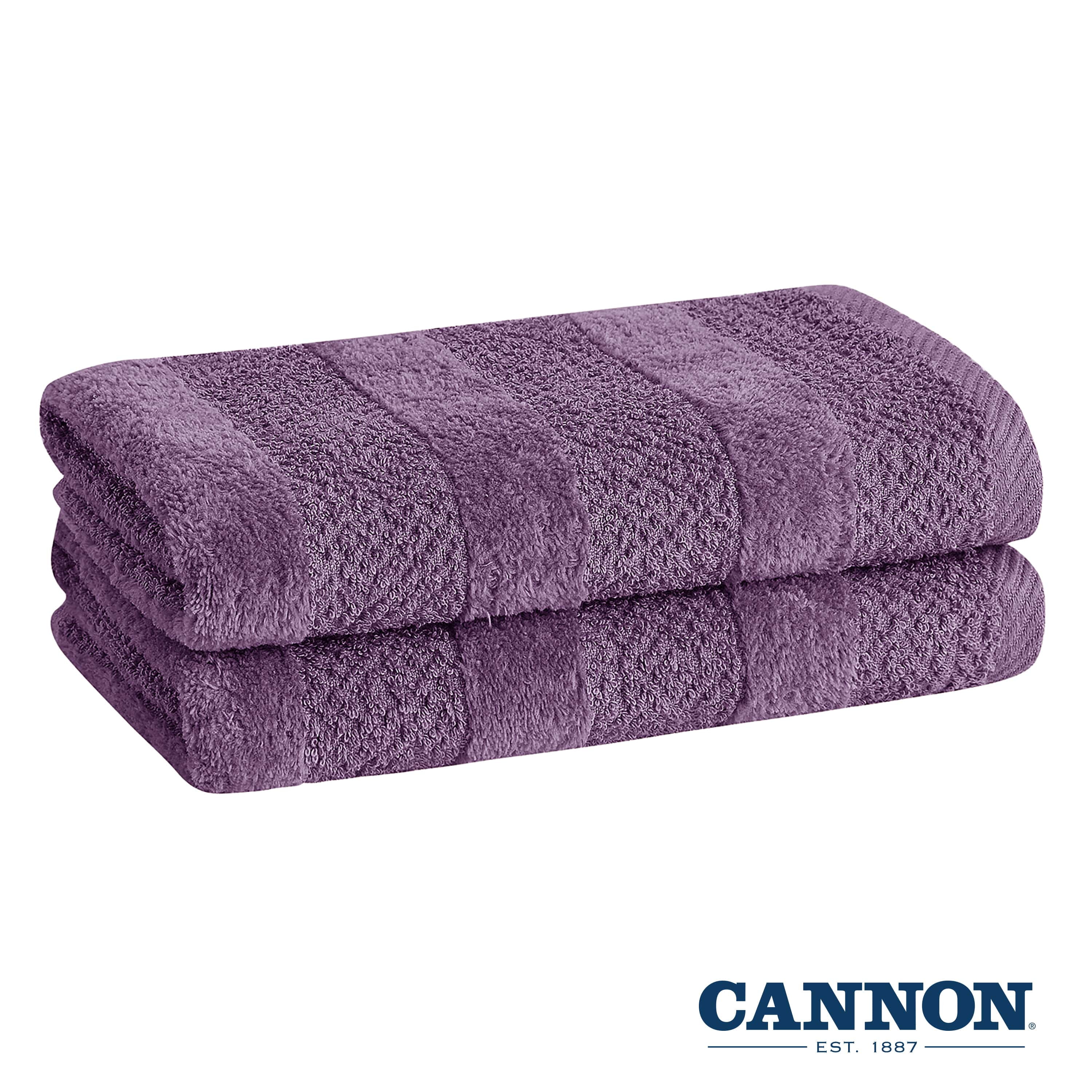 Cannon 2-Piece Oatmeal Cotton Quick Dry Hand Towel (Shear Bliss) in Brown | CANCAN204197