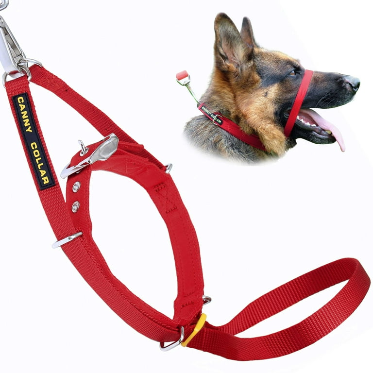 Training collar for top dogs that pull