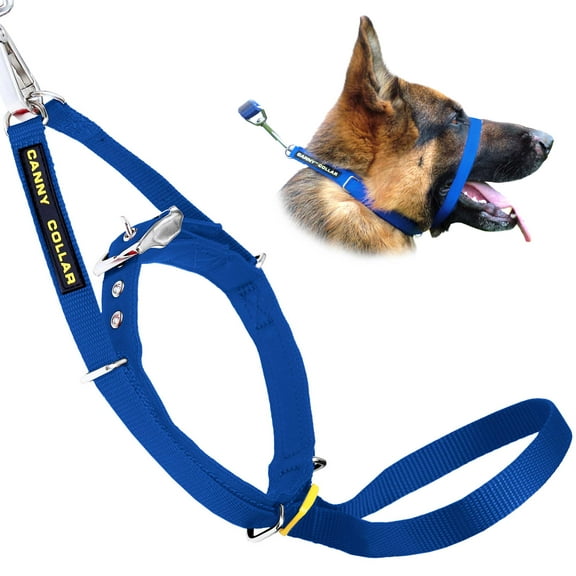 Canny Collar Easy Pull Dog Collar for Walking and Training - Blue, Size 4