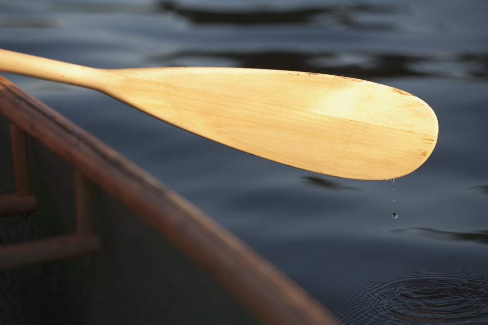 Canoe Paddle Canvas Art - Keith Levit Design Pics (18 x 12)