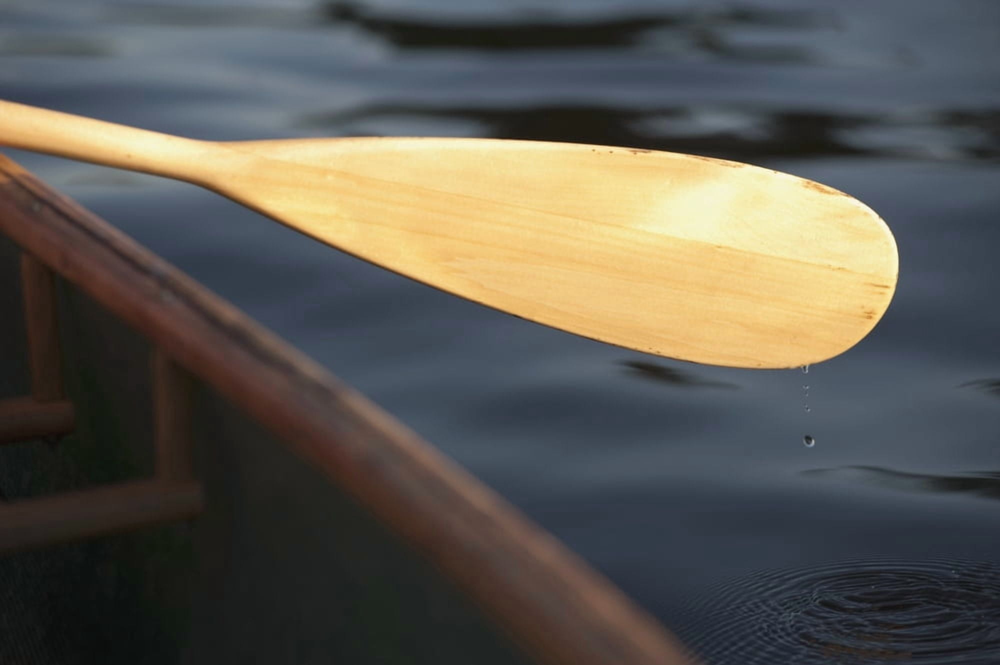 Canoe Paddle Canvas Art - Keith Levit Design Pics (36 x 24)