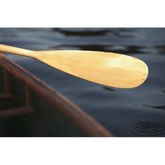 Canoe Paddle Poster Print (18 x 12)