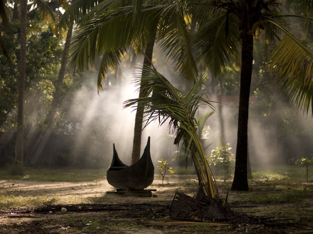 Canoe Under Palm Trees In Kerala India Canvas Art - Keith Levit Design Pics (18 x 13)