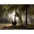 thumbnail image 1 of Canoe Under Palm Trees in Kerala India Poster Print by Keith Levit - 36 x 26 - Large, 1 of 1