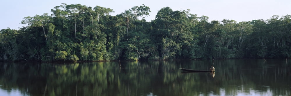 Canoe in a river Napo River Oriente Ecuador Canvas Art - Panoramic Images (6 x 18)