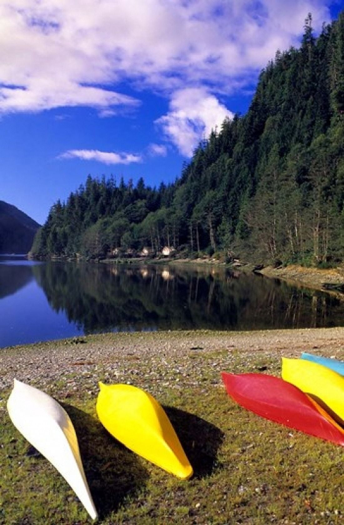 Canoeing Clayoquot Wilderness British Columbia Canvas Art - Michael DeFreitas DanitaDelimont (24 x 36)