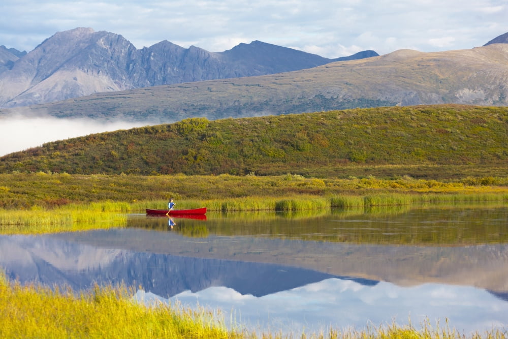 Canoeist On A Tundra Pond Along The Denali Highway Near Tangle Lakes In AutumnAlaska Usa Canvas Art - Michael DeYoung Design Pics (17 x 11)