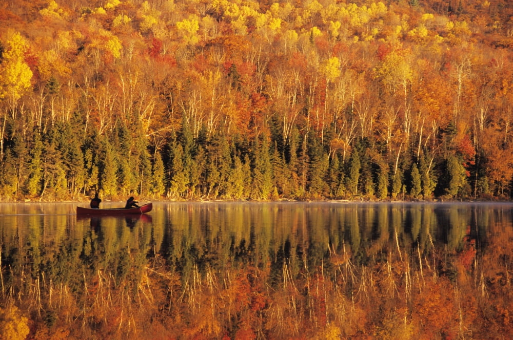 Canoeists At Sunrise Lac Bouchard La Mauricie National Park Quebec Canvas Art - Ron Watts  Design Pics (17 x 11)