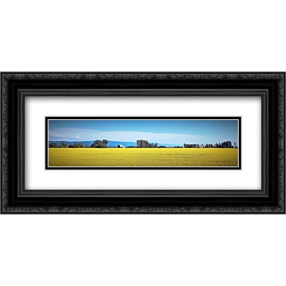 Canola Fields 2x Matted 24x12 Black Ornate Framed Art Print by Stalowy, John