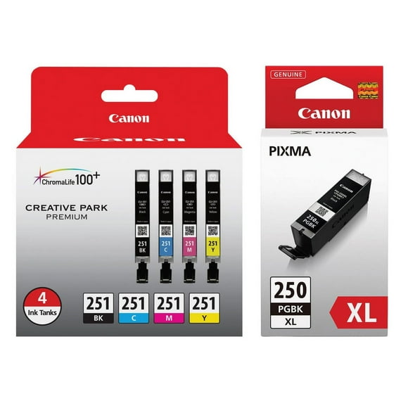 Pgi 250 Cli 251 4 Color Combo Ink Pack