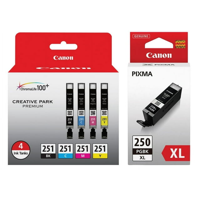 Canon CLI-251 4-Color Ink Cartridge Pack (6513B004) and PGI-250 XL High Capacity Black Tank (6432B001)
