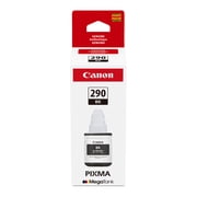 Canon CNMGI290B, PIXMA GI-290 Black Ink Bottle, 1 Each