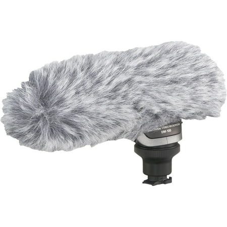 Canon DM-100 Stereo Microphone