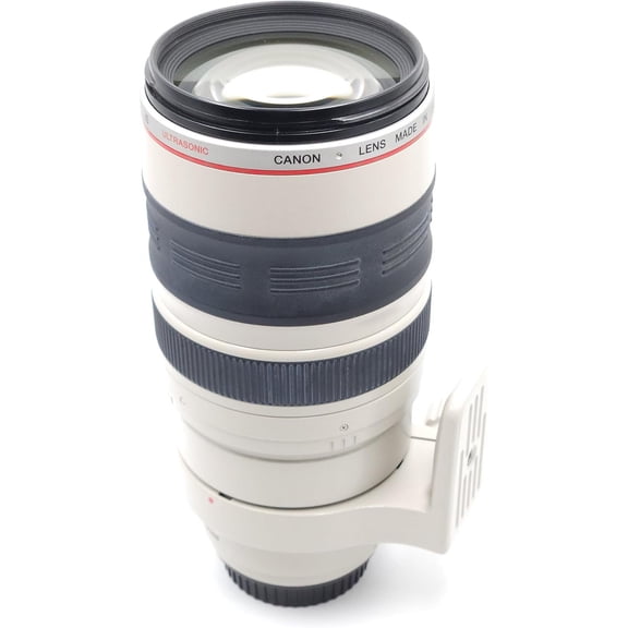 Canon EF 100-400mm f/4.5-5.6L IS USM Telephoto Zoom Lens for Canon SLR Cameras(Sold without manufacturer warranty)
